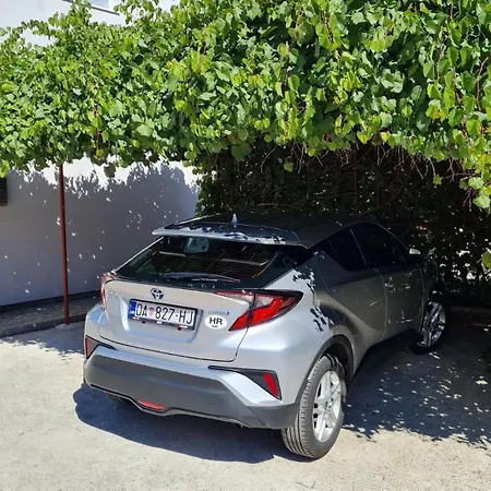 Barbara * Traù